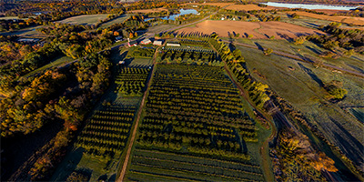 Pleasant Valley Orchard