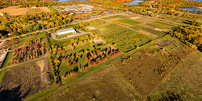 University of Minnesota HRC Apple Orchard