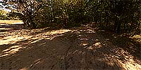 Bunker Park Stable Trail #3