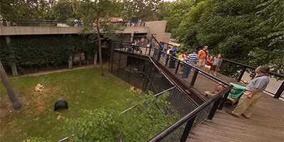 Walkway at the Como Park Zoo Large Cats exhibit