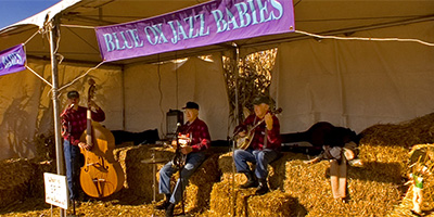 Blue Ox Jazz Babies band plays at Severs Corn Maze