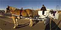 Carriage ride over the Stone Arch Bridge.