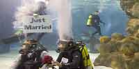 Valentine’s Day Underwater Wedding at Mall of America